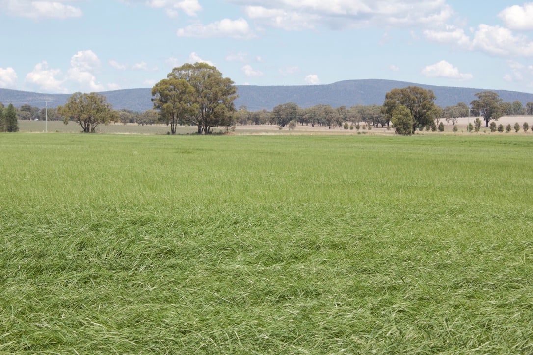 39192193-B381-4C3D-BED1-8033BDBC4C12_1_105_c