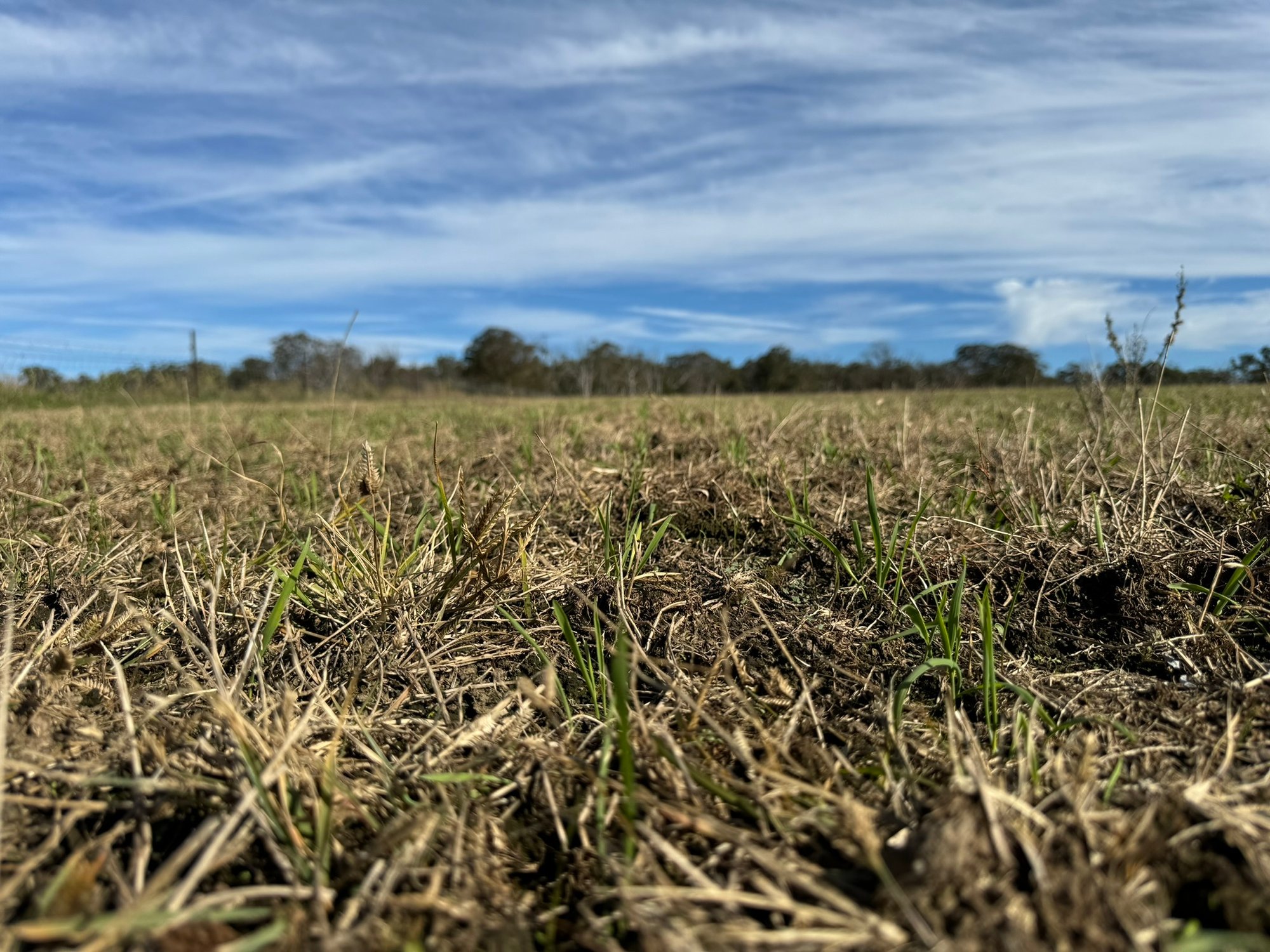 CDD6D66A-F439-4B0A-9BB7-165FB954EF9F_1_102_o